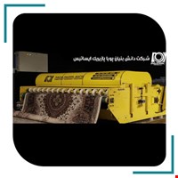 قالیشویی علی